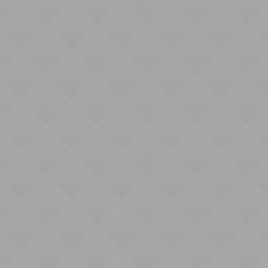 Special Needs Education